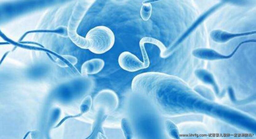 试管婴儿卵泡取出一定要麻醉吗?