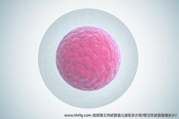 成都第三代试管婴儿要花多少钱?第三代试管费用多少?