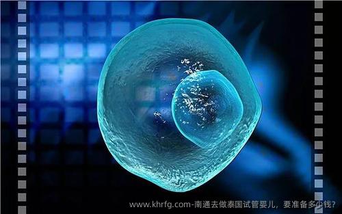 南通去做泰国试管婴儿，要准备多少钱?