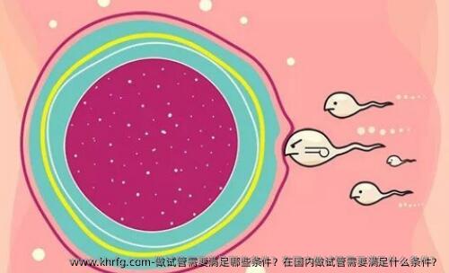 做试管需要满足哪些条件？在国内做试管需要满足什么条件？