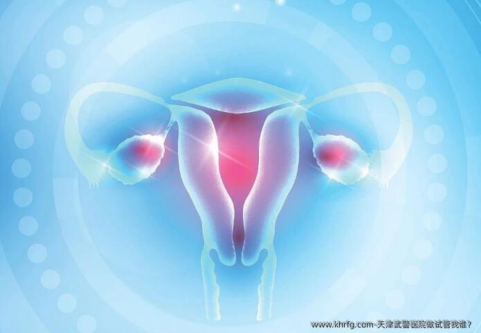 天津武警医院做试管找谁？