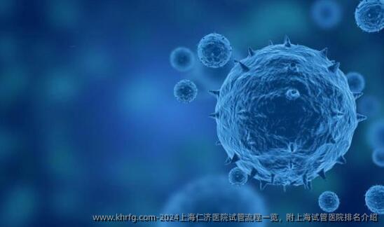 2024上海仁济医院试管流程一览，附上海试管医院排名介绍