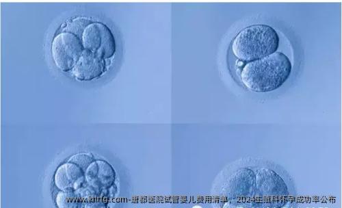 唐都医院试管婴儿费用清单，2024生殖科怀孕成功率公布