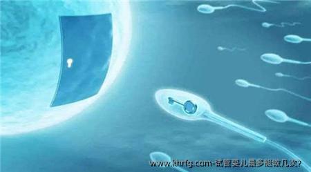 试管婴儿最多能做几次？