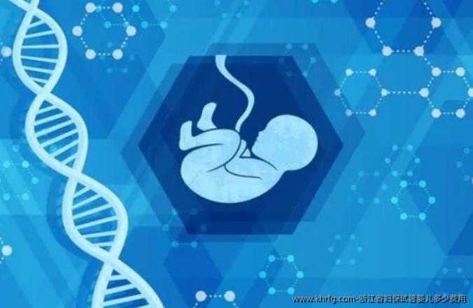 浙江省妇保试管婴儿多少费用