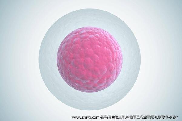 在乌克兰私立机构做第三代试管婴儿需要多少钱？