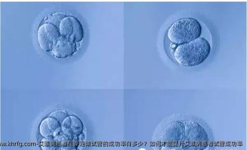 艾滋病患者在香港做试管的成功率有多少？如何才能提升艾滋病患者试管成功率