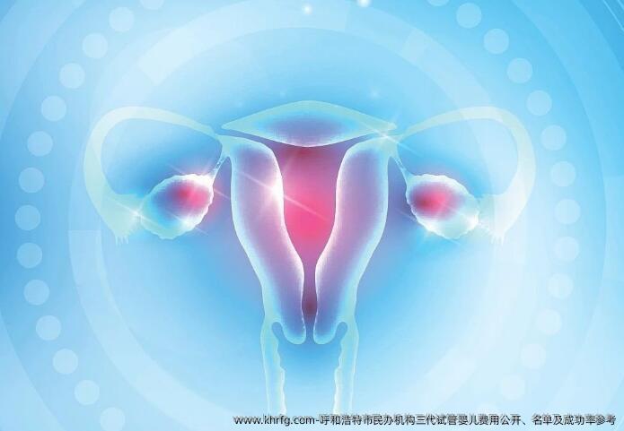 呼和浩特市民办机构三代试管婴儿费用公开、名单及成功率参考