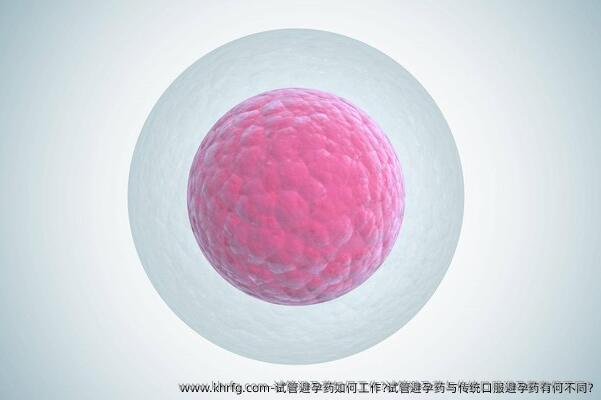 试管避孕药如何工作?试管避孕药与传统口服避孕药有何不同?