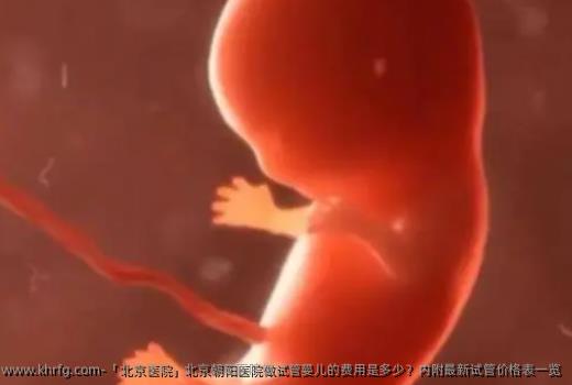 「北京医院」北京朝阳医院做试管婴儿的费用是多少？内附最新试管价格表一览