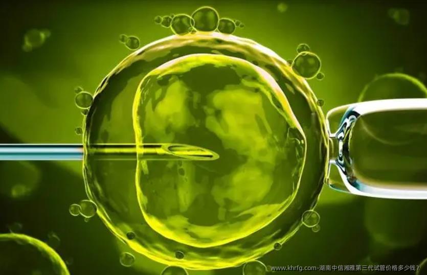 湖南中信湘雅第三代试管价格多少钱?