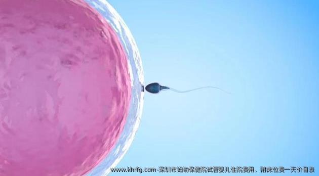 深圳市妇幼保健院试管婴儿住院费用，附床位费一天价目表