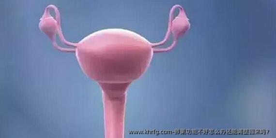 卵巢功能不好怎么办还能调整回来吗?