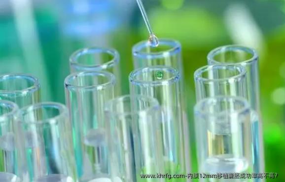 内膜12mm移植囊胚成功率高不高?