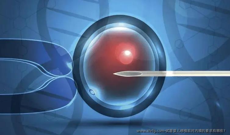 试管婴儿移植前对内膜的要求有哪些?