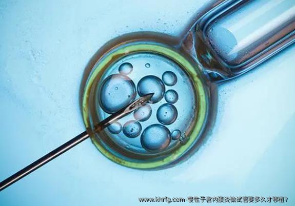 慢性子宫内膜炎做试管要多久才移植？