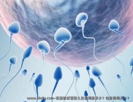 美国做试管婴儿总费用要多少？检查费用多少？