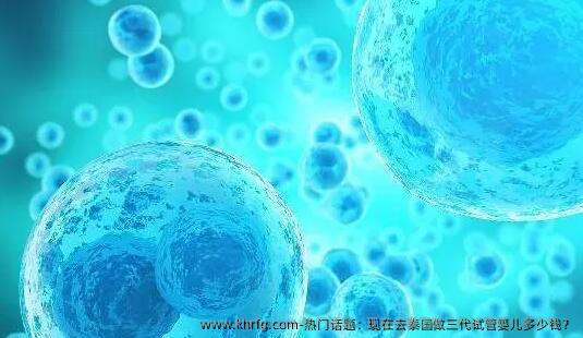 热门话题:现在去泰国做三代试管婴儿多少钱?