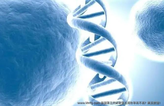 泰国第三代试管婴儿成功率高不高?真实数据!