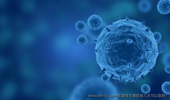 试管短方案促排几天可以卵泡取出?