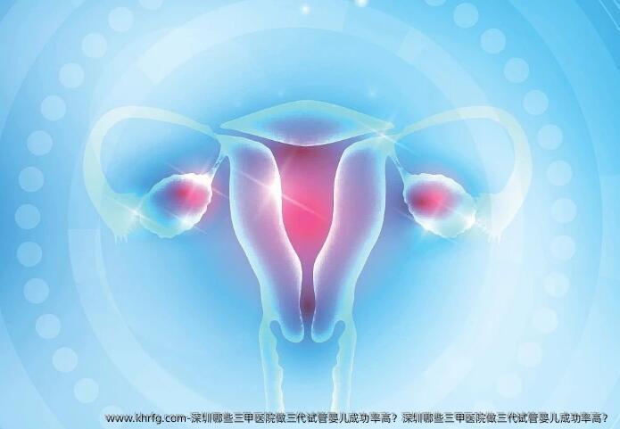 深圳哪些三甲医院做三代试管婴儿成功率高？深圳哪些三甲医院做三代试管婴儿成功率高？
