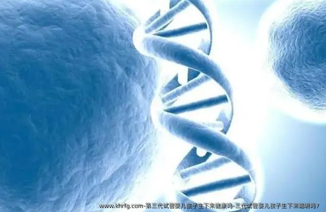 第三代试管婴儿孩子生下来健康吗-三代试管婴儿孩子生下来聪明吗？