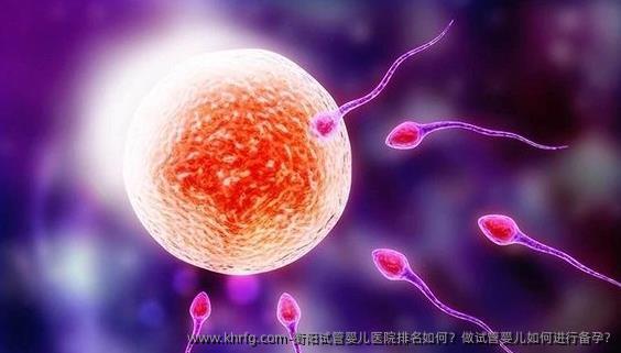 衡阳试管婴儿医院排名如何？做试管婴儿如何进行备孕?