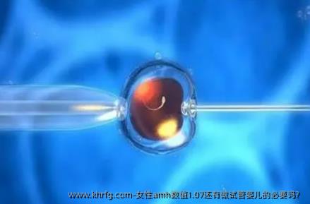 女性amh数值1.07还有做试管婴儿的必要吗？