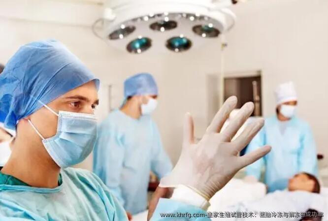 皇家生殖试管技术：胚胎冷冻与解冻的成功率