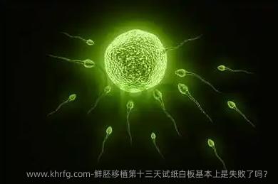 鲜胚移植第十三天试纸白板基本上是失败了吗？