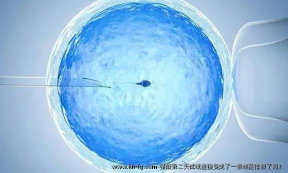 强阳第二天试纸直接变成了一条线是排卵了吗?