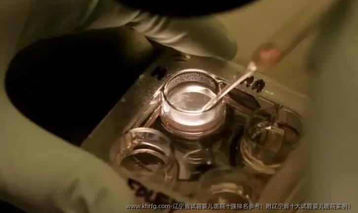 辽宁省试管婴儿医院十强排名参考!附辽宁省十大试管婴儿医院实例!