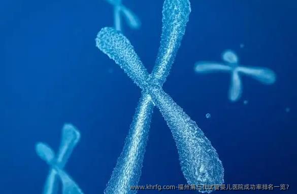 福州第三代试管婴儿医院成功率排名一览？