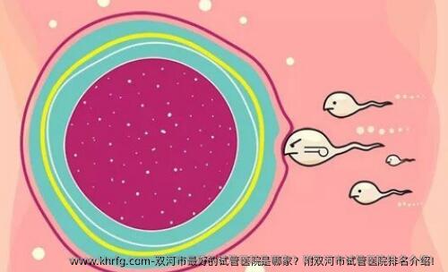 双河市较好的试管医院是哪家？附双河市试管医院排名介绍！
