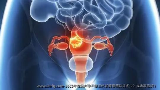 2025年在国内滁州做三代试管费用总共多少？成功率高吗？