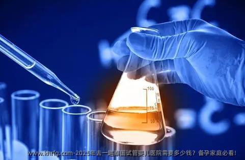 2025年去一趟泰国试管婴儿医院需要多少钱？备孕家庭必看！