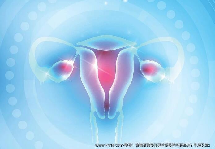 解密！泰国试管婴儿越早做成功率越高吗？机密文章！