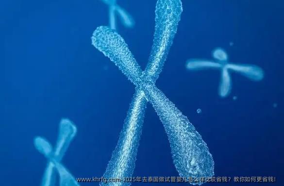 2025年去泰国做试管婴儿怎么样比较省钱？教你如何更省钱！