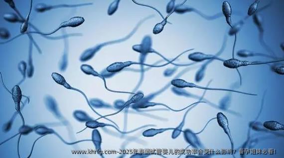 2025年泰国试管婴儿的成功率会受什么影响？备孕姐妹必看！