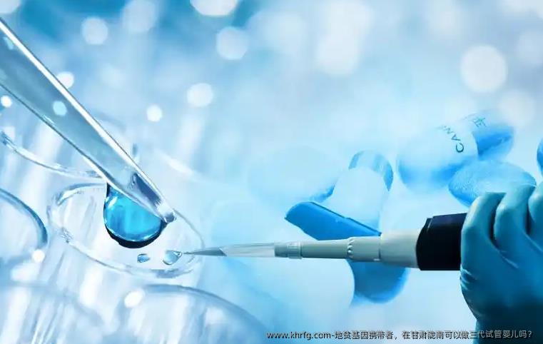 地贫基因携带者，在甘肃陇南可以做三代试管婴儿吗？