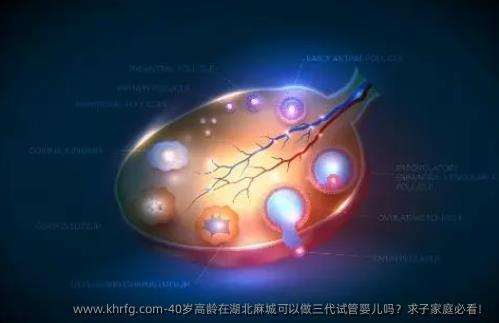 40岁高龄在湖北麻城可以做三代试管婴儿吗？求子家庭必看！