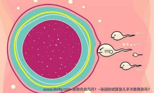 费用究竟几何?—泰国的试管婴儿手术费用贵吗?