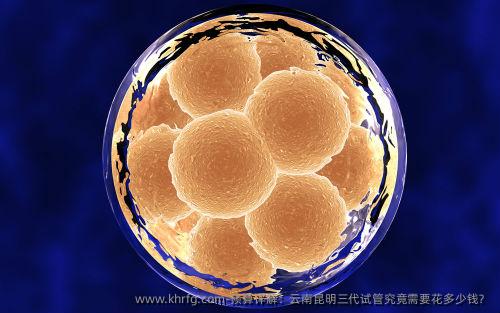 预算详解:云南昆明三代试管究竟需要花多少钱?