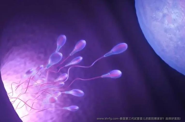 泰国第三代试管婴儿的医院哪家好?选择好医院!