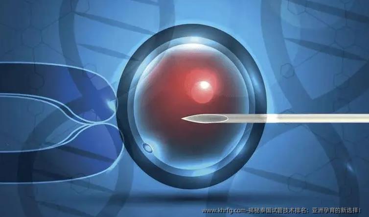 揭秘泰国试管技术排名:亚洲孕育的新选择!