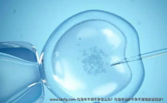 乌海市不育不孕怎么办？乌海市治疗不孕不育哪家医院好？