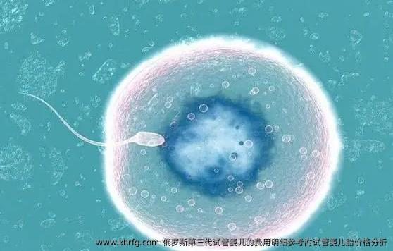 俄罗斯第三代试管婴儿的费用明细参考附试管婴儿胎价格分析
