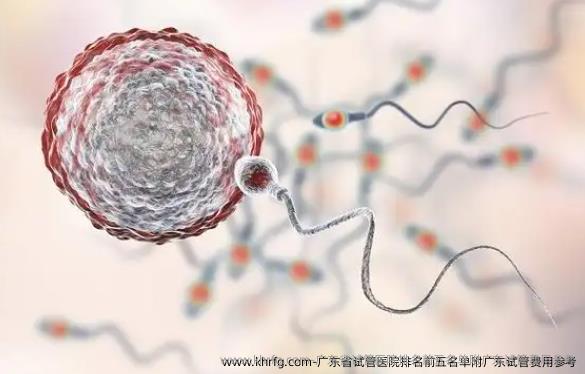 广东省试管医院排名前五名单附广东试管费用参考