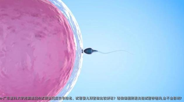 广东医科大学附属医院市试管医院成功率排名，试管婴儿那里做比较好呢？轻微细菌阴道炎能试管移植吗,会不会