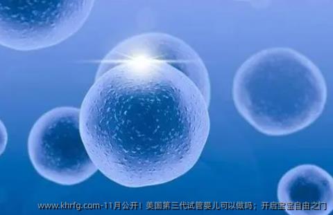 11月公开！美国第三代试管婴儿可以做吗；开启宝宝自由之门
